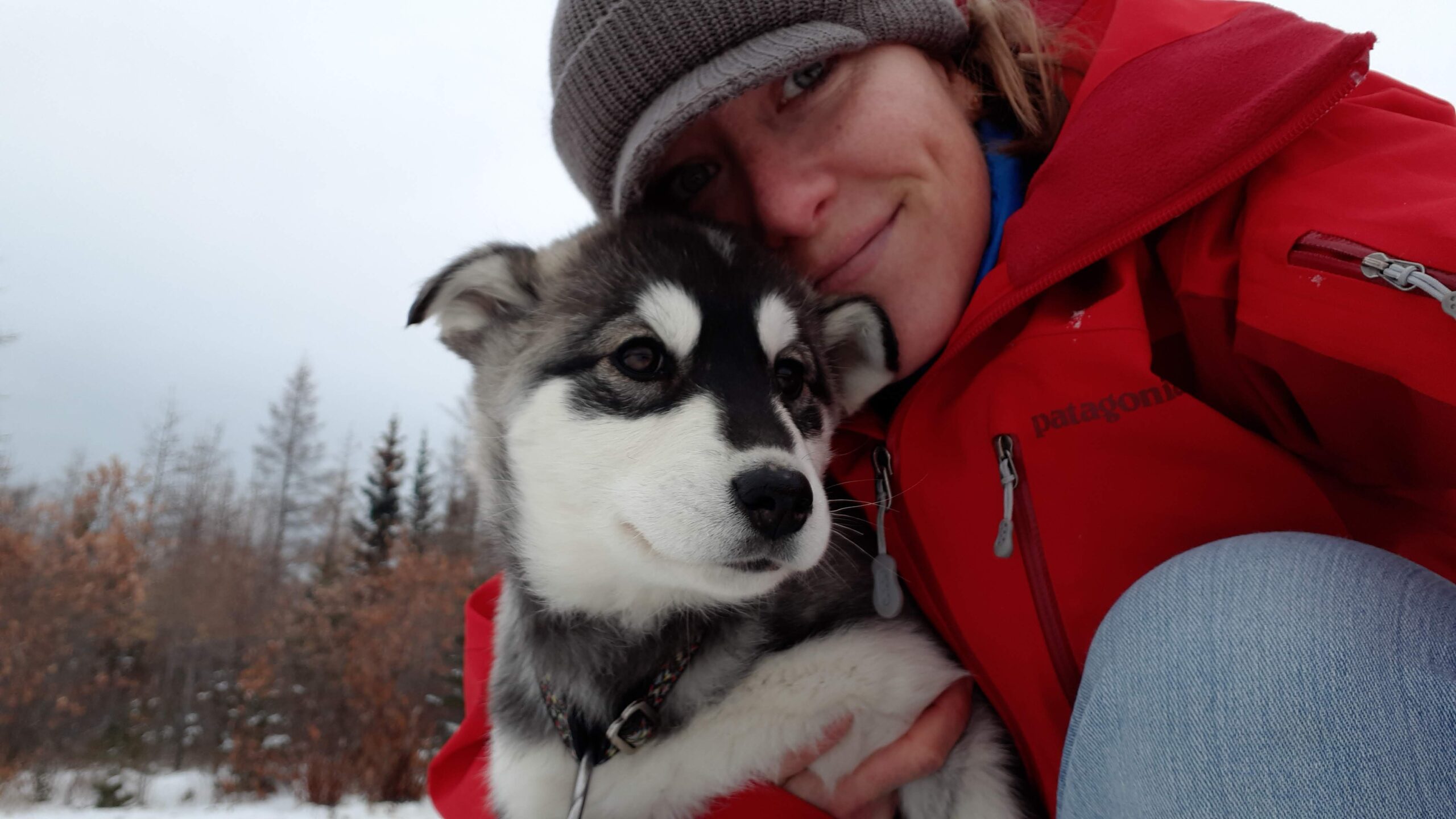 Puppy Cuddles