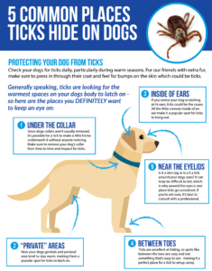 Check your pets for ticks